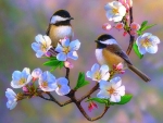 Cherry Blossom Chickadees