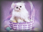 Easter Kitten