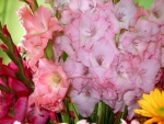Bouquets of Pink Flowers