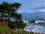 Pacific Grove Coastline, California