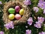 Easter and Spring