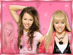 miley cyrus / hannah montana