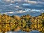 Green Reflection in the Lake