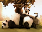 Panda pair