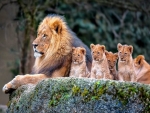 King and kids