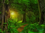 Magical forest