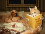 Bedtime Stories