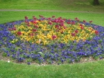 Park Flower Bed