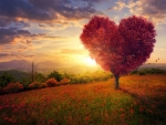 Heart Tree