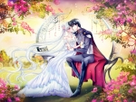 Princess Serenity & Prince Endymion