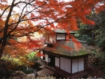 Sankeien Garden in Fall