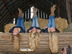 ~Cowgirls~