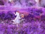 Lavender field