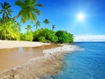 Tropical Beach