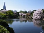 Shinjuku Gyoen