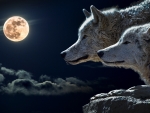 Full moon wolves.