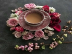 goffee,flowers,roses,morning,