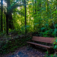 Take a seat and relax