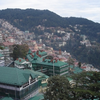 Shimla