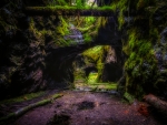 Mossy Cave
