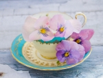 Cup of Pansies
