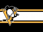 Pittsburgh Penguins