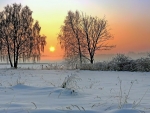 Winter sunrise