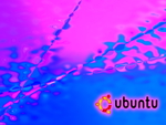 Ubuntu P!nk