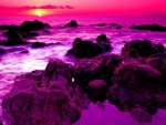 Purple Beach