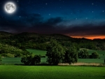 Moonlit night in the countryside