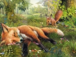Sleeping fox