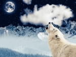 Wolf Moon