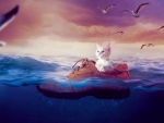 Kitty at Sea