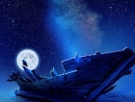 Bird on shipwreck in the moonlight