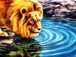 3d lion