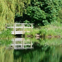 Footbridge over The Lake