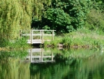 Footbridge over The Lake