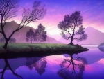 Purple Dawn