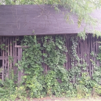 Old Barn on the back road