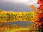 Autumn Lake Forest