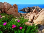 Sardinia