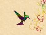 Humming Bird