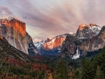 Yosemite Scenery