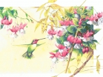 Hummingbird