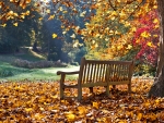 A good autumn to contemplate