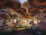 Mushroom forest