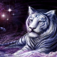 Cosmic Tiger