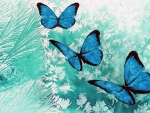 Azure Butterflies