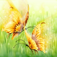 Dance of the Golden Butterflies
