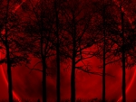 Blood Moon in the Forest